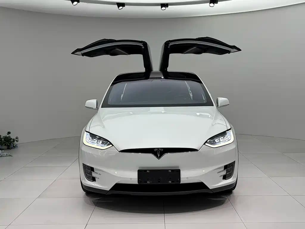 Tesla Model X 2