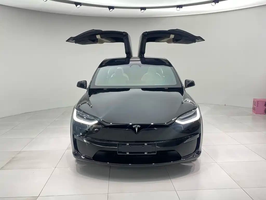 Tesla Model X 2