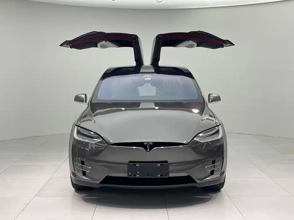 Tesla Model X 2