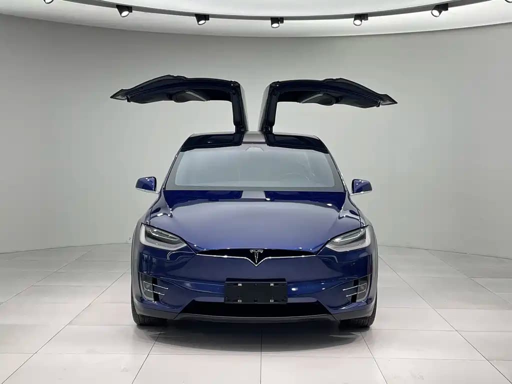 Tesla Model X 2