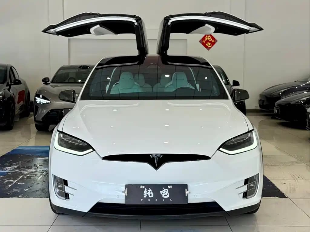 Tesla Model X 2